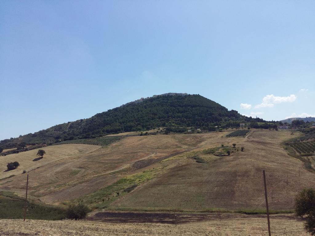 La Mortella Agriturismo Rotondella Ngoại thất bức ảnh
